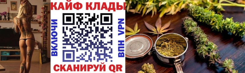 МЕФ Светлоград