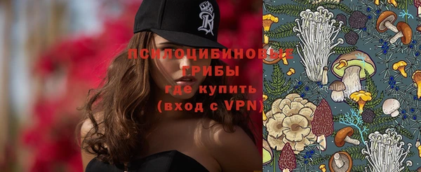 амф Ладушкин