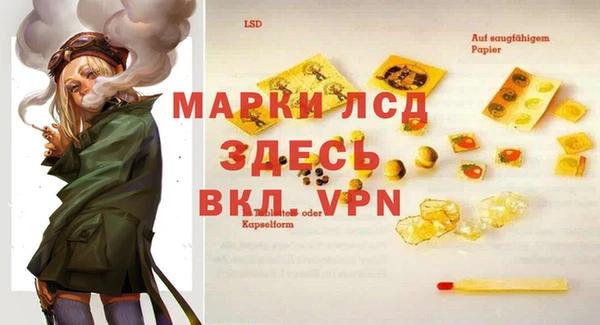 амф Ладушкин
